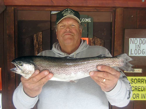 Steve Colburn